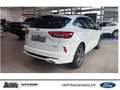 Ford Kuga Kuga ST-LINE X PHEV PANO LED Memory-Funktion Wit - thumbnail 3