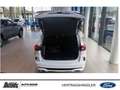Ford Kuga Kuga ST-LINE X PHEV PANO LED Memory-Funktion Blanco - thumbnail 5