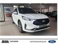 Ford Kuga Kuga ST-LINE X PHEV PANO LED Memory-Funktion Weiß - thumbnail 2