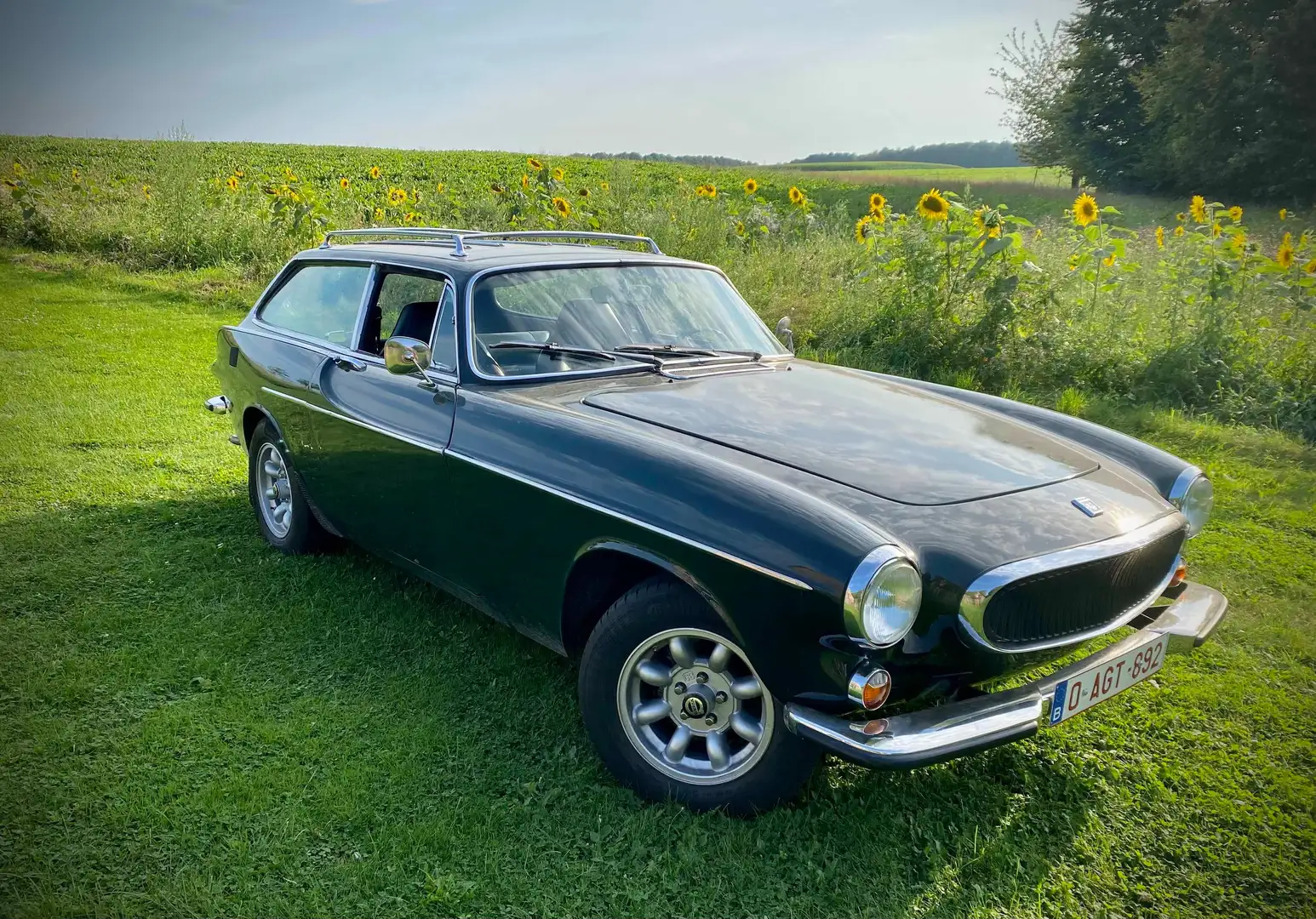 Volvo P1800 - 1