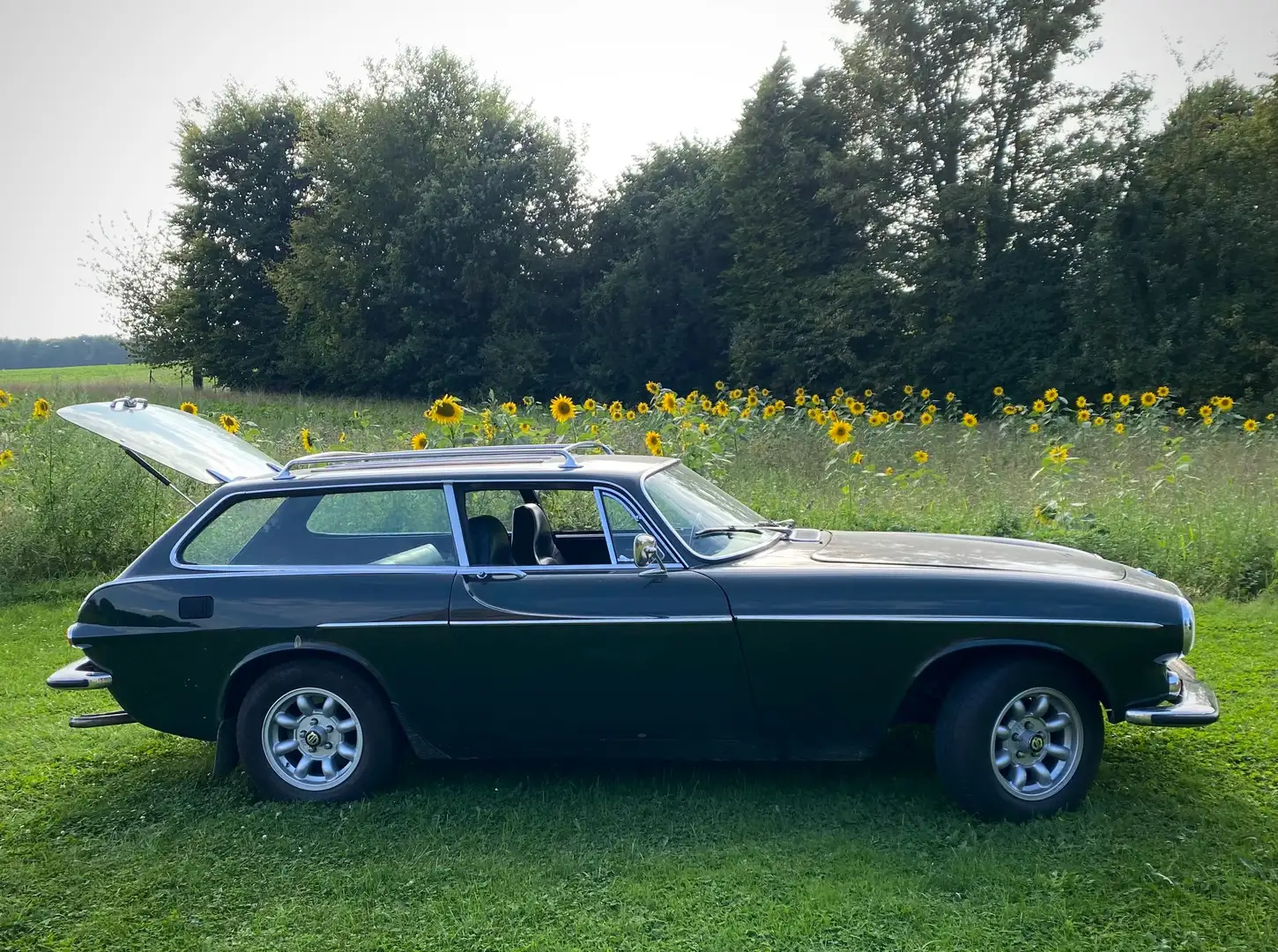 Volvo P1800 - 2