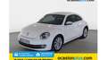 Volkswagen Beetle 1.6TDI Design 105 Blanco - thumbnail 1