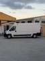 Citroen Jumper BlueHDi 103KW (140) Furgón 35 Heavy L3H2 Blanco - thumbnail 5
