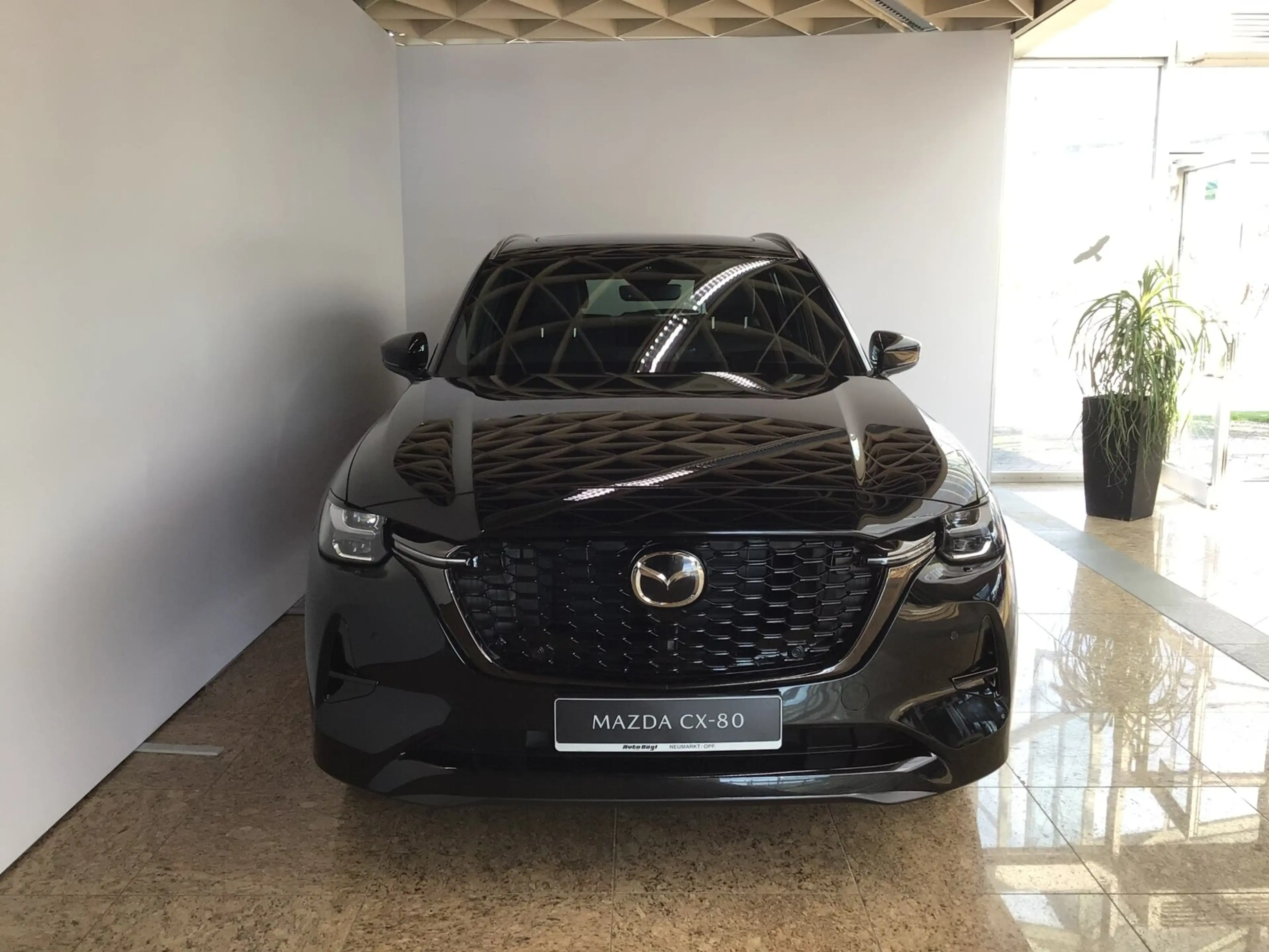 Mazda CX-80 CX-80 3.3 e-SKYACTIV-D 254 M-Hybrid Homura AWD  BC — photo 3