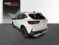 Ford Kuga 2.5 Duratec FHEV Active AWD Aut. Blanc - thumbnail 6