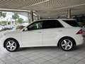 Mercedes-Benz ML 500 AMG BEGINN PLEULAGERSCAHDEN FAHRBEREIT Weiß - thumbnail 5