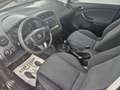 SEAT Altea XL 1,6 TDi PICKERL NEU:07/2027,Klima, 8-fach Alu B... Grau - thumbnail 11