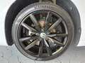 Volkswagen Scirocco 1.4 TSI Sound NAVI+SHZ Bianco - thumbnail 14