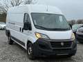 Fiat Ducato 2.3 Multijet L-H2 (EUVI) - thumbnail 2
