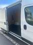 Fiat Ducato Fiat Ducato 250 /VAN Weiß - thumbnail 9