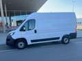 Fiat Ducato Fiat Ducato 250 /VAN Weiß - thumbnail 16