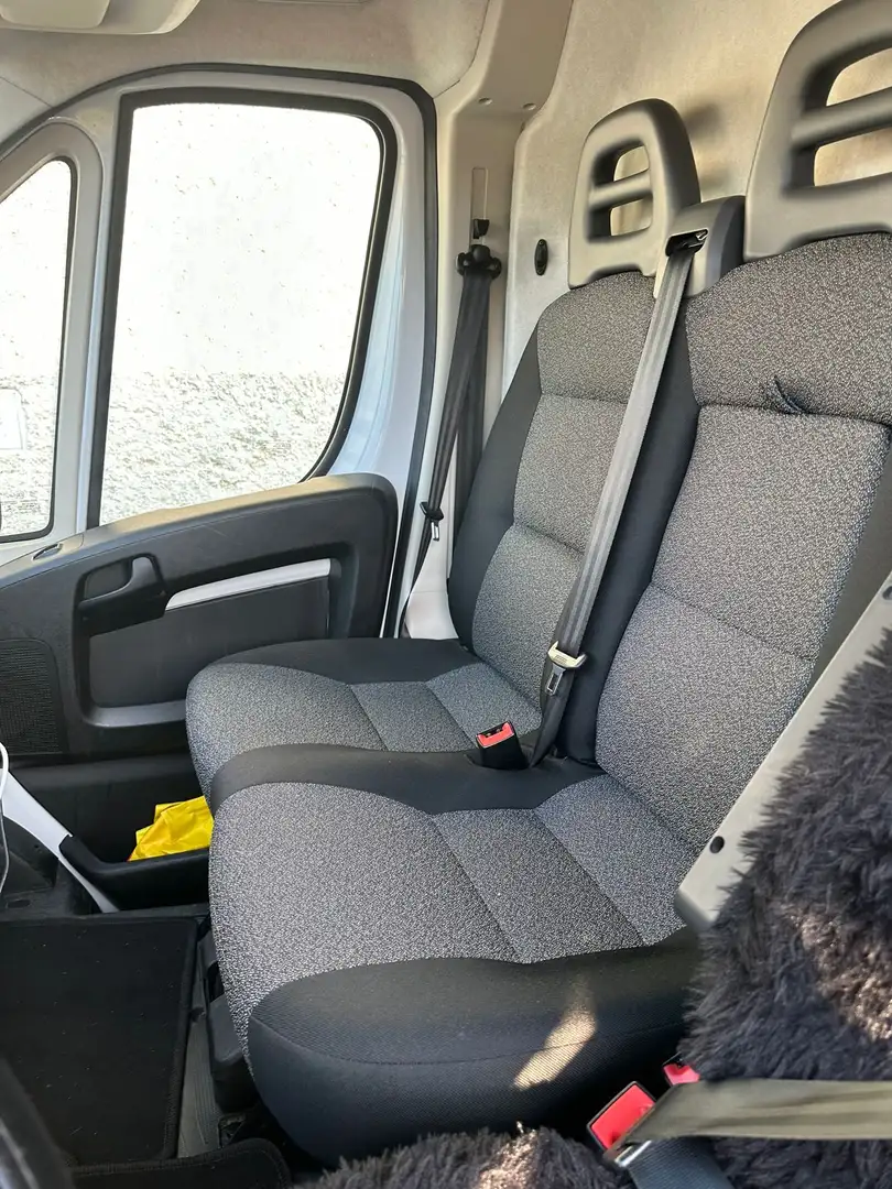 Fiat Ducato Fiat Ducato 250 /VAN Weiß - 2