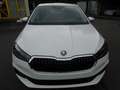 Skoda Fabia 1.0 TSI  Selection/AHK/LED/Sitzheiz/Kamera Weiß - thumbnail 2