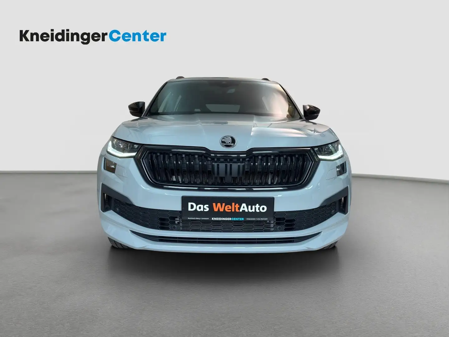 Skoda Kodiaq 4x4 SPORTLINE TDI DSG Grau - 2