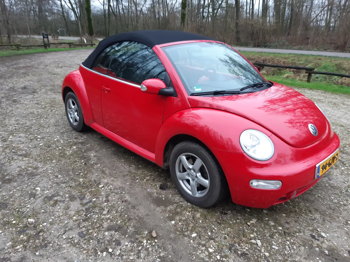 Volkswagen New Beetle 1.6 Turijn Rouge - 2