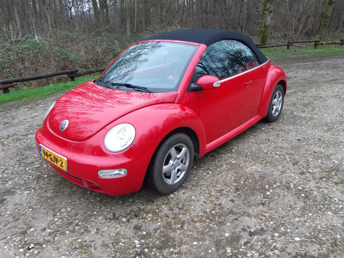 Volkswagen New Beetle 1.6 Turijn Rouge - 1