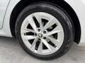 Skoda Octavia First Edition ! VERKAUFT ! Grau - thumbnail 8
