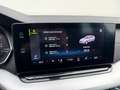 Skoda Octavia First Edition ! VERKAUFT ! Grau - thumbnail 12