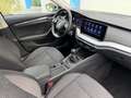 Skoda Octavia First Edition ! VERKAUFT ! Grau - thumbnail 11