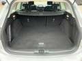 Ford Focus Turnier 1.0 EcoBoost C&C LED+NAVI+GRA+SHZ Silber - thumbnail 14