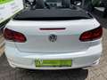 Volkswagen Golf VI Cabriolet Allstar, R-Line, Navi, SHZ*1Hd White - thumbnail 4