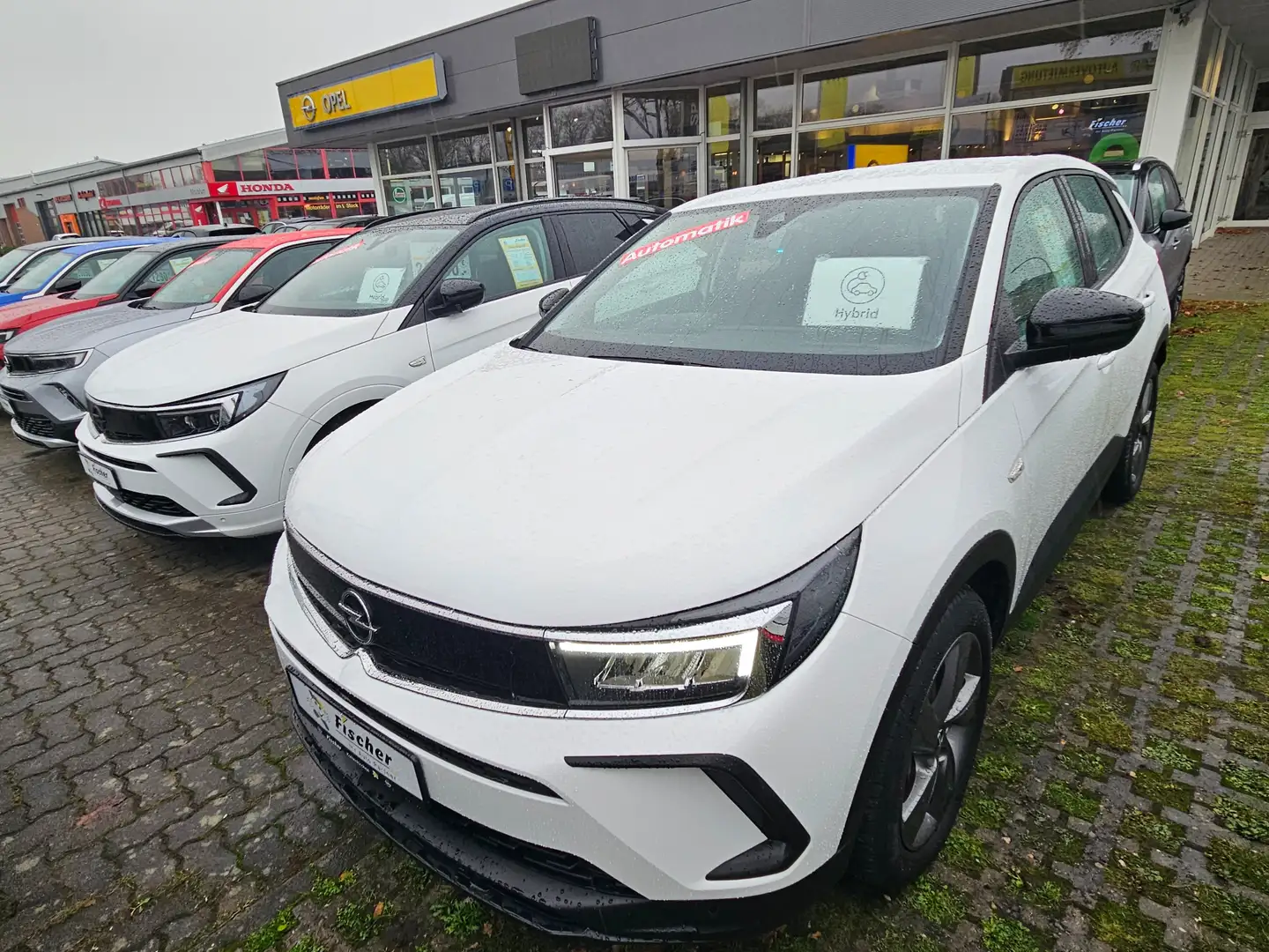 Opel Grandland X Basis Plug-in-Hybrid Weiß - 1