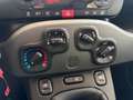 Fiat Panda Panda 1.0 firefly hybrid City Life PREZZO VERO Gris - thumbnail 15