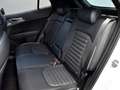 Kia Sportage 1.6 T-GDi 230pk Hybrid AT6 GT-PlusLine Wit - thumbnail 10