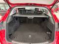 Alfa Romeo Stelvio Stelvio 2.0 t Executive Q4 280cv auto Rojo - thumbnail 22