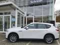 Mazda CX-60 Exclusive Driver-Assistance-P. 1.Hand,Garantie Blanc - thumbnail 1