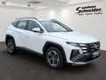 Hyundai TUCSON MJ25 1.6 TGDi 6-Gang SELECT NAVI/LED/KAMERA/DAB+ Bianco - thumbnail 3
