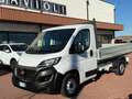 Fiat Ducato FIAT DUCATO CASSONE 2.3 MULTIJET 140CV EURO 6D Bianco - thumbnail 1