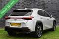 Lexus UX 250h Premium Edition LEDER/CAMERA/ACC/STOELVW/ETC.! Grijs - thumbnail 4