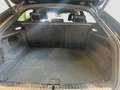 Audi Q8 50 TDI 286 CV quattro tiptronic Sport Nero - thumbnail 12