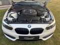 BMW 118 i Sport-Line Navi/SportSeats/PDC/Bluetooth/USB/17" Bianco - thumbnail 15