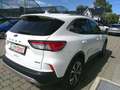 Ford Kuga 2,5 Duratec FHEV Titanium X Aut. Weiß - thumbnail 6