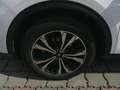 Ford Kuga 2,5 Duratec FHEV Titanium X Aut. Weiß - thumbnail 9