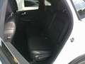 Ford Kuga 2,5 Duratec FHEV Titanium X Aut. Weiß - thumbnail 13