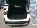 Ford Kuga 2,5 Duratec FHEV Titanium X Aut. Weiß - thumbnail 4