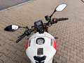 Yamaha XSR 900 kurzer Kennzeichenhalter Rouge - thumbnail 11