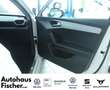 SEAT Leon "FR"  FAHRSCHUL - AUSSTATTUNG White - thumbnail 14