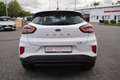 Ford Puma 1.0 EcoBoost Cool&Connect LED Tempomat DAB Blanc - thumbnail 4