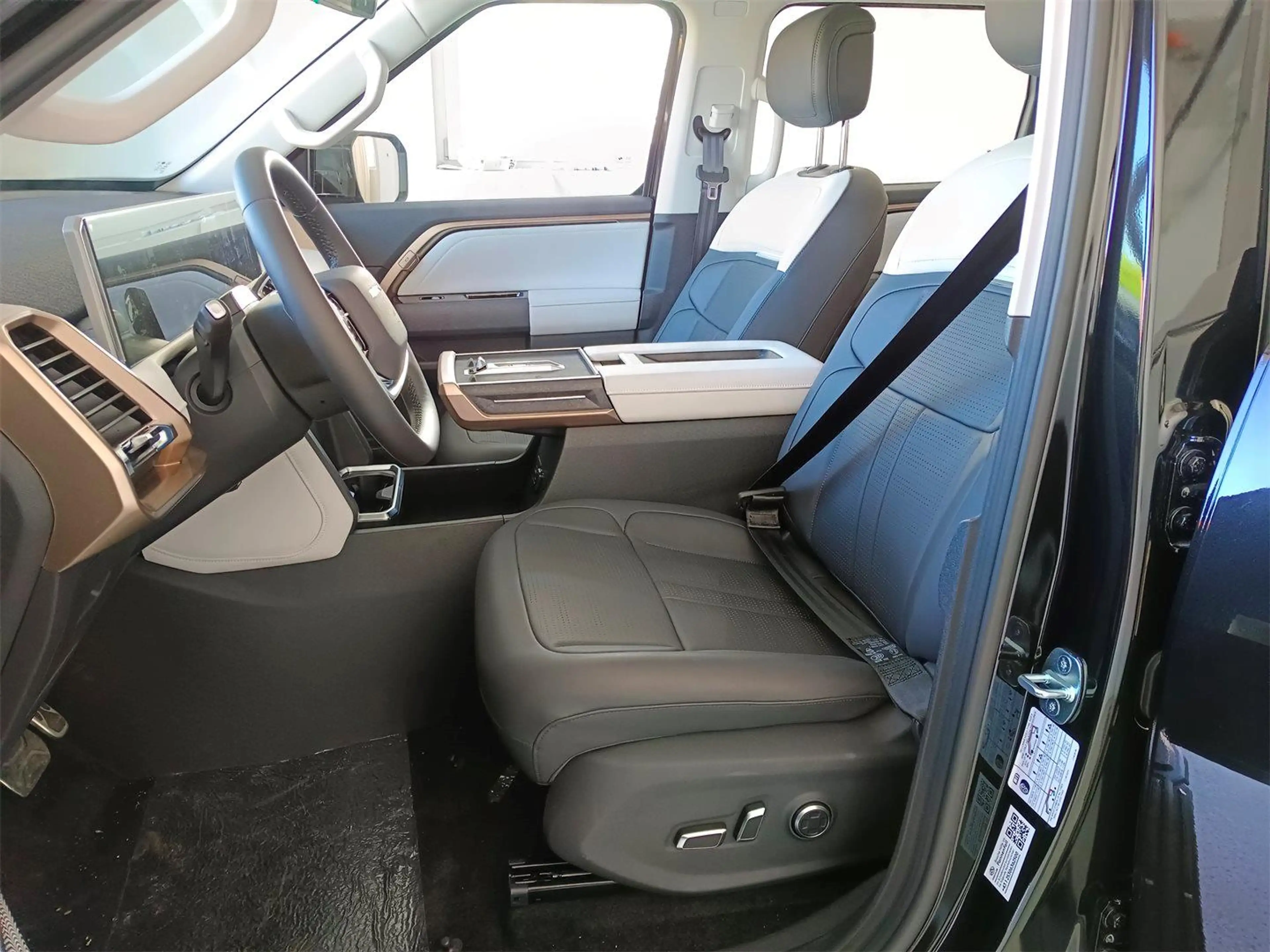 Maxus e Terron 9 Flagship Black Package — photo 10