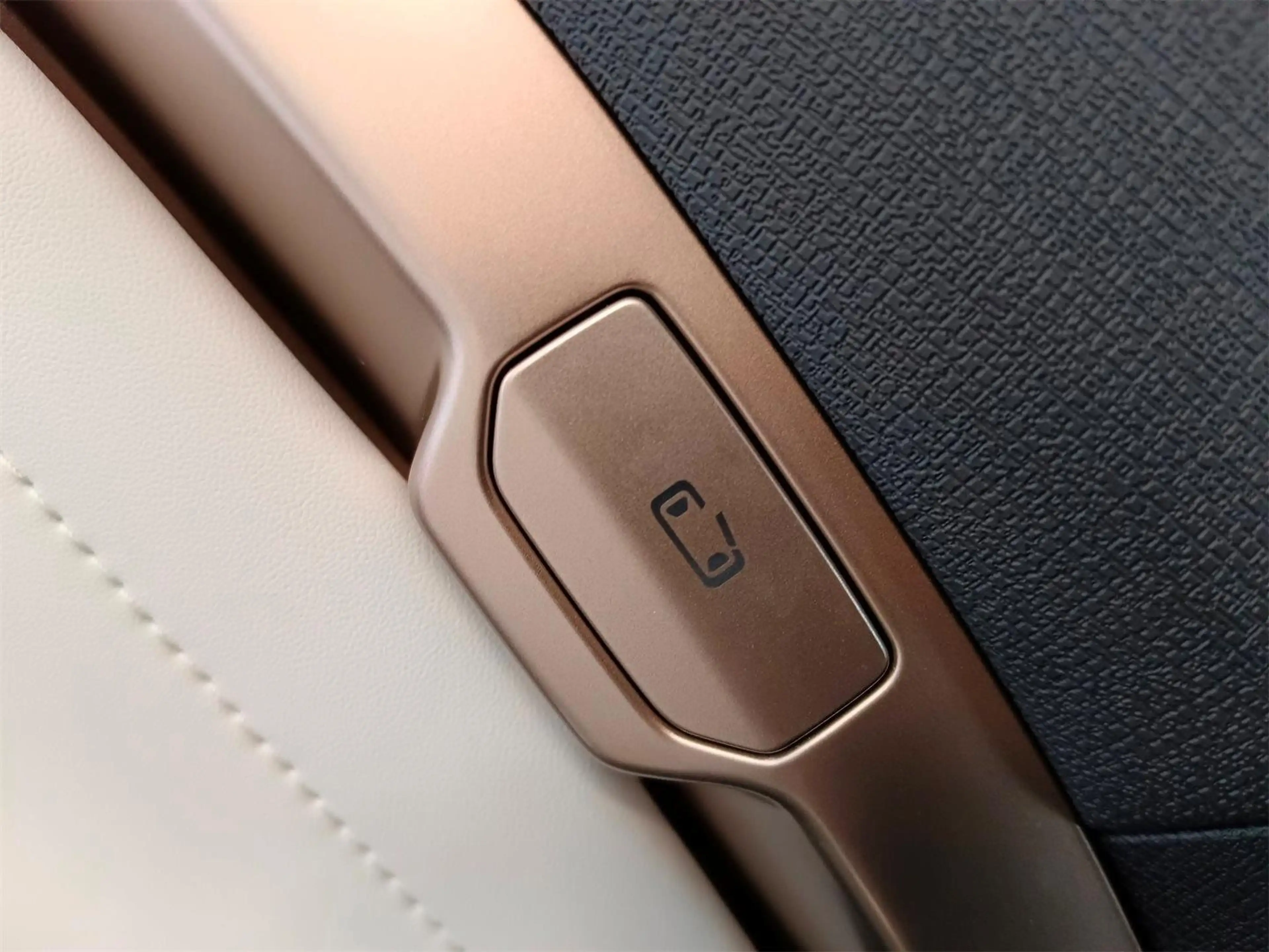 Maxus e Terron 9 Flagship Black Package — photo 13