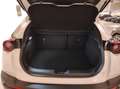Mazda MX-30 - MX-30 Executive Bianco - thumbnail 15