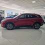 Ford Kuga 2.5 Duratec PHEV Titanium 4x2 Rojo - thumbnail 2