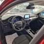 Ford Kuga 2.5 Duratec PHEV Titanium 4x2 Rot - thumbnail 13