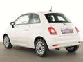 Fiat 500 Lounge Navi|Komfort-Paket|PDC|Apple CarPlay Weiß - thumbnail 8