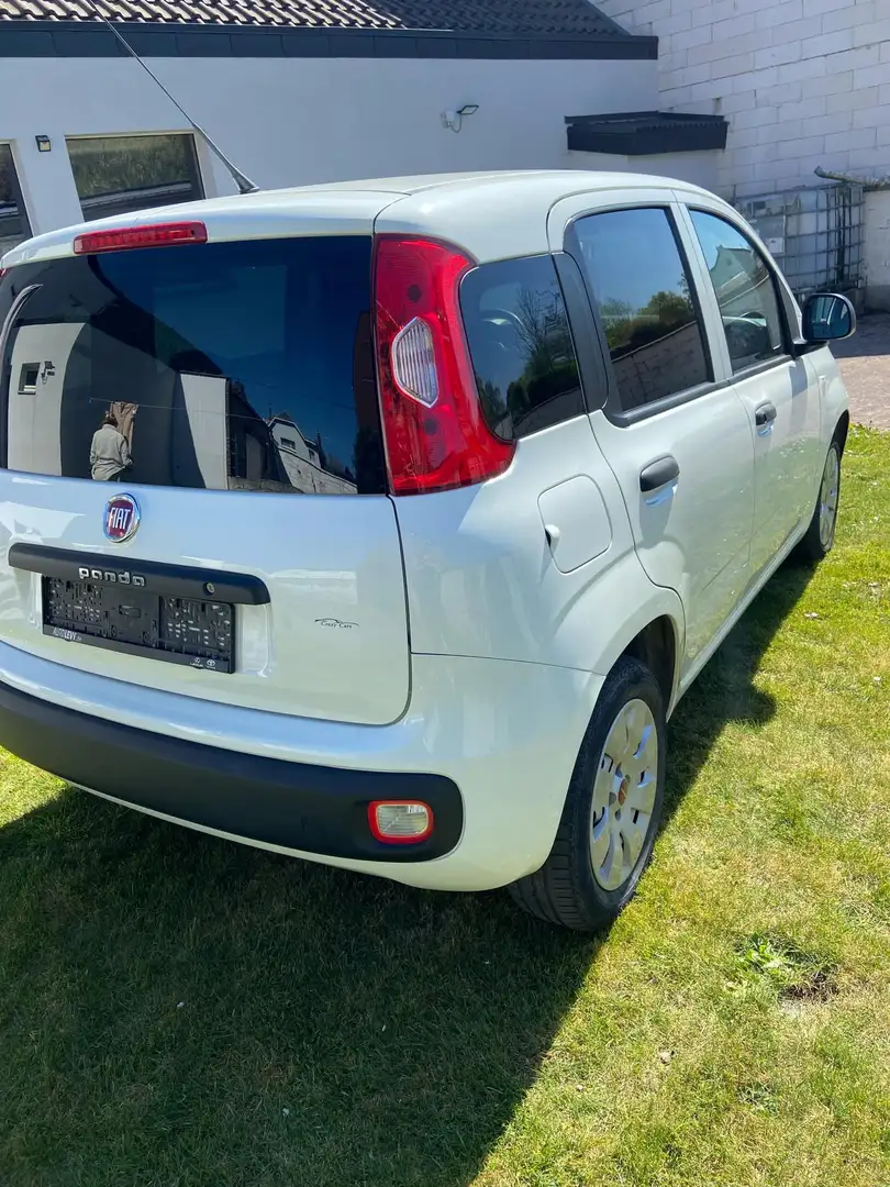 Fiat Panda Panda Cross 1.3 MultiJet 4x4 Cross - 2