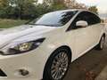 Ford Focus Focus 1.6TDCi Titanium 115 Titanium Blanco - thumbnail 5
